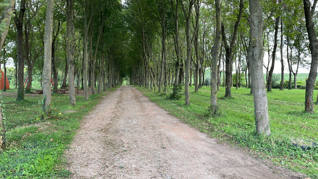 Educativa domiciliare - Mantova